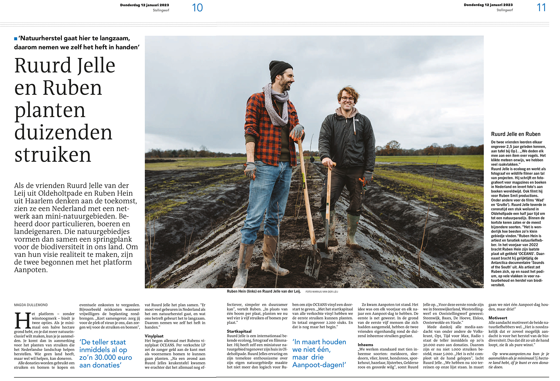 artikel Stellingwerf